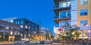 Modera LoHi Gallery 35