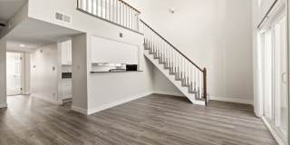 Chatsworth Plaza Gallery 1