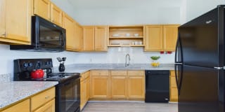 The Fields Gallery 8