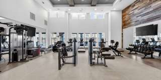 Aspire at Sherman Gallery 7