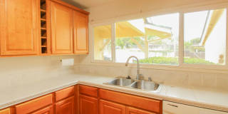 4-Bedroom House with Fenced Backyard **Fresh Paint and New Flooring Gallery 9