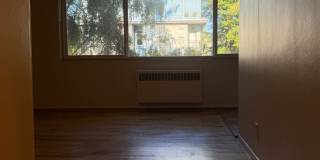 Park Manor Gallery 18
