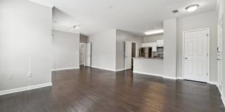 Tree Park Apartments Gallery 4