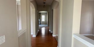 10729 Serape Road Gallery 4