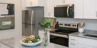 Isla Palmetto Gallery 3