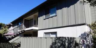 2 Bed 1 Bath Newly Renovated Gallery 1