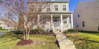 23259 WINDFLOWER Gallery 1