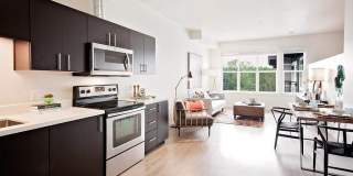 Attwell off Main Gallery 15