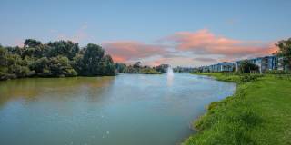 Costa Del Lago Gallery 16