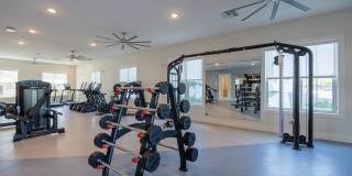 Madison Grove Gallery 24