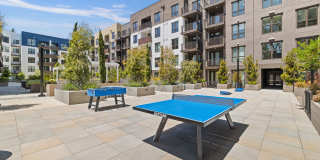 Sevens Luxury Apartment Gallery 99