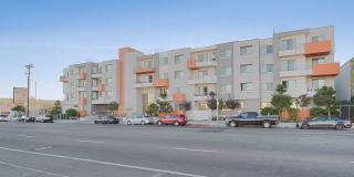 Woodley Sara Gallery 22