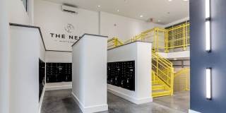 The Nest Gallery 5