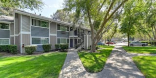 Pinecrest Apartments Gallery 18