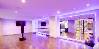 Lex and Leo at Waterfront Station Gallery 27