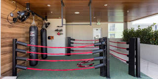 Miro Brickell Gallery 14