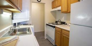 The Dorchester Gallery 6