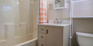 Charming 3 Bed 1.5 Bath home walkable to campus Gallery 14