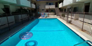 5301NEW Gallery 3