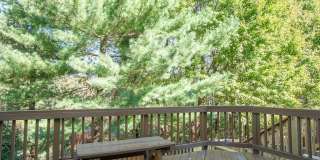 6276 TALIAFERRO WAY Gallery 10