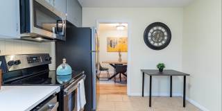 Spacious Updated Unit of Quadplex Available in Park Hill Gallery 7