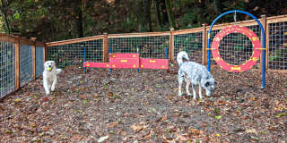 Lakemont Orchard Gallery 24