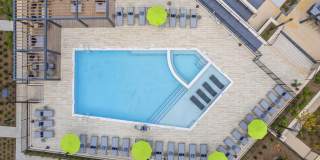 Canter Green Gallery 57