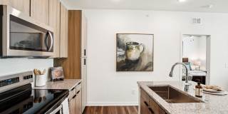The Pullman Luxury Apartment Homes Gallery 50