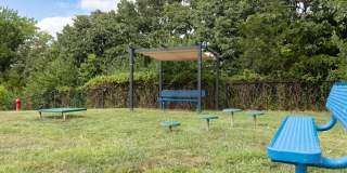 Alinea at Town and Country Gallery 29