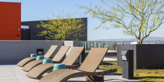 The Brand Gallery 21