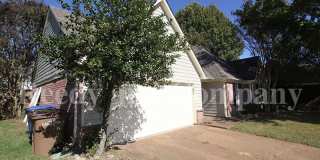 9532 Chi Chi Cv Gallery 2