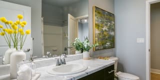 SkyStone Gallery 29