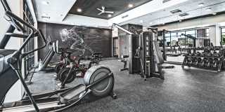 Union at Roosevelt I and II Gallery 65