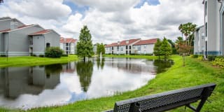 Vantage on Hillsborough Apartments Gallery 29