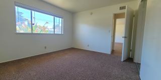 Single-Story 2-Bedroom Home in the Charming Sunparks II 55+ HOA! Gallery 19