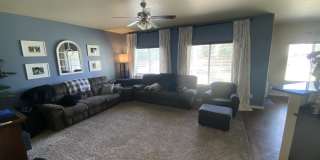7413 Pimlico Dr Gallery 18
