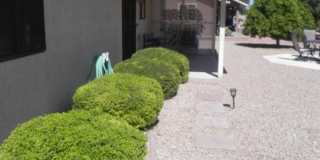 19911 N 146th Way Gallery 29
