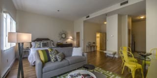 The Atrium on Commonwealth Gallery 24