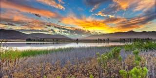 Elan Sevilla Apartment Homes Gallery 31