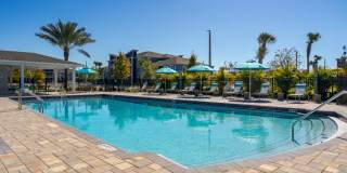 Dream Winter Haven Dream Winter Haven Gallery 1