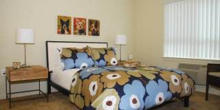 Copper Ridge Gallery 11