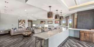 Terra at University North Park Gallery 12