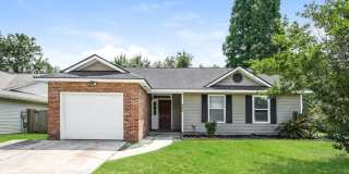 249 Persimmon Circle Gallery 1