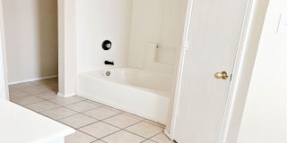 4203 Lonesome Dove Drive Gallery 12