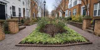 2144 Little Sorrel Way Gallery 1