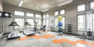 Palisades at Pleasant Crossing Gallery 17