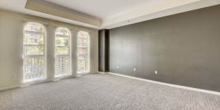 Boca Raton Gallery 5