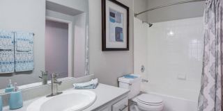 Collage Apartment Homes Gallery 6