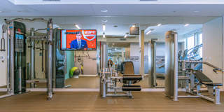 AV8 Gallery 12
