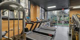 Cliffs Lofts Gallery 19